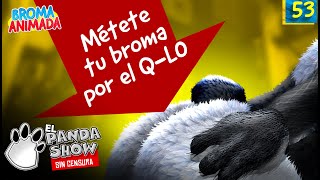 Panda Show  Broma Animada 053  Métete tu Broma por el QLo [upl. by Ly]