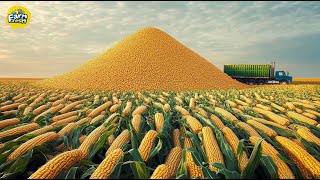 How American Farmers Harvest And Process Millions Of Tons Of Sweet Corn In Large Fields Each Year 🌽 [upl. by Bradway]