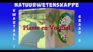 Plante en Voedsel Deel 1 [upl. by Rogozen7]