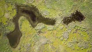 Vernal Pools in Late Winter Sonoma County California [upl. by Gad]