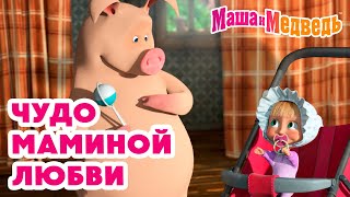 Маша и Медведь 🤱 Чудо маминой любви 🥰 💝 Коллекция любимых серий про Машу 🎬 Час мультиков [upl. by Eydie764]