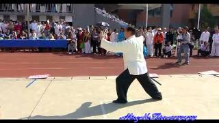 Yang Shi Taijiquan 85 Shi back  Master Zhao Youbin 赵幼斌 [upl. by Keverne]