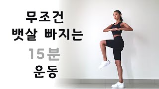 뱃살빼기 효과보장 15MIN STANDING ABS WORKOUT  No Talking  No Equipment [upl. by Martsen]