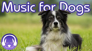 15 Hours of Soothing Dog Therapy Music  INSTANTLY Calm My Dog Down TESTED [upl. by Notgnirrac938]