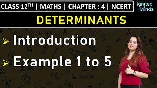 Class 12th Maths  Introduction to Determinants  Example 1 to 5  Chapter 4  NCERT [upl. by Marilla]