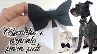 Colarinho e gravata pet em feltro sem costura diy dog bow tie no sew На метелика diy façaevenda [upl. by Bettine338]