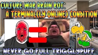 Culture War Brain Rot A Terminally Online Condition [upl. by Severin396]