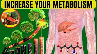 How To Increase Your Metabolism  15 Tips Boost Metabolism [upl. by Anaehs960]