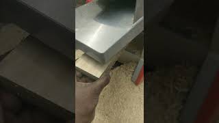 Planer Sawdust to the garden pinewood woodworking diy carpentry shortvideo garden woodcraft [upl. by Amisoc894]