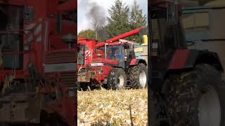 Ça arrive prochainement sur YouTube 🤩 1455XL 1455 caseih axial flow 2388 bull [upl. by Sined]