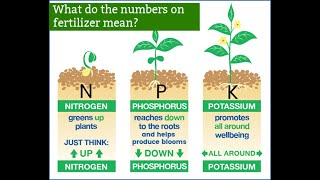 What do the Three Numbers on a Bag of Fertilizer Mean [upl. by Euhsoj264]