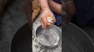 my dog paining for foot dogs doglover dog funny funnydogs trending [upl. by Ettennil]