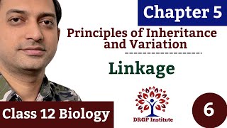 Linkage and Recombination  Chapter 5  Principles of Inheritance and Variation  06  Class 12 [upl. by Nazarius836]