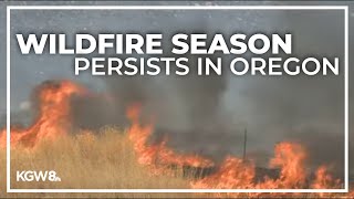 How the state is tackling over 20 active wildfires burning across Oregon [upl. by Weitman541]