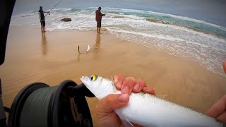 How to catch BIG mullet [upl. by Francois]