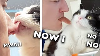 My Cats Reaction To a FAKE TONGUE [upl. by Anez]