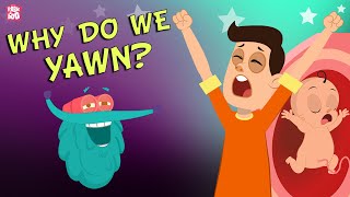 Why Do We Yawn  The Dr Binocs Show  Best Learning Videos For Kids  Peekaboo Kidz [upl. by Orabelle125]