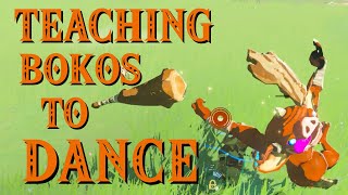 Teaching Bokoblins to Dance  The Legend of Zelda Breath of the Wild [upl. by Phionna]