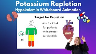 Potassium Repletion Whiteboard Animation Video [upl. by Aliled]