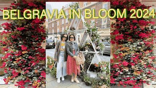 BELGRAVIA IN BLOOM A FLORAL FEAST FLOWER SHOW LONDON 2024 FESTIVAL BUNGA GRATIS [upl. by Buskus]