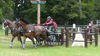 40 BERLAGE Max GER CAIO4 H2 Donaueschingen Marathon Ob5 Pairs horses 14 09 2024 [upl. by Yesdnil]