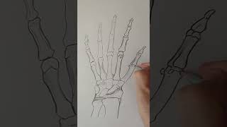 Hand and wrist bones shorts bone drawing hand [upl. by Merideth]