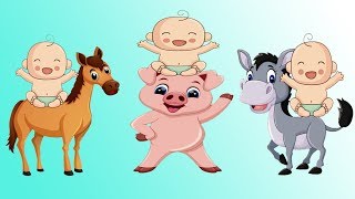 tiere für kleinkinder lied  haustiere für kinder ab 12  BeBi TV [upl. by Manouch]