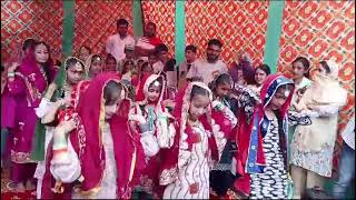 Dogri dance performed by DAPS girls on 15 th august 2024 [upl. by Squires801]