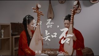 【知否知否 】琵琶 Pipa Cover  Australian Pipa Academy [upl. by Hally778]