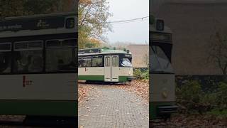 Dutch Heritage Tram during Fall [upl. by Ednew]