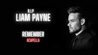 Liam Payne Remember Acapella  Vocals Only [upl. by Cung300]