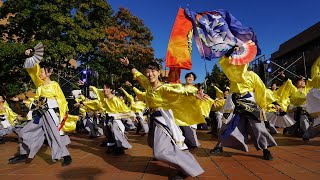 藍 藍ampMOEホールディングス 藍涼祭 藍 教育大 十月祭 星学祭 YOSAKOI ヨサコイ yosakoi お祭り YOSAKOIソーラン祭り dance 学祭 若者 [upl. by Adnahcal]