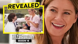 Greys Anatomy Season 18 Details REVEALED That Change EVERYTHING [upl. by Siletotsira]