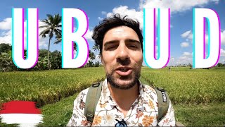 UBUD IS THIS THE BEST PLACE IN THE WORLD Ubud Bali vlog [upl. by Bambi]