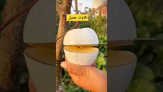 Beautiful quran recitationqurantilawatytshortsfruitnazamshortstrendingforyouشفاضحکافلام [upl. by Taro]