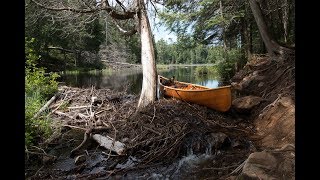 Algonquin Park 5 Day Solo  Episode 1 [upl. by Aleksandr445]