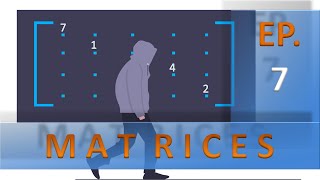 Parametric Line Equation Using Matrices  Let L Be The Line With Parametric Equations [upl. by Judie]