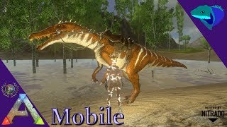 BARYONYX TAME AND SCOUTING SWAMP FOR A WATER BASE LOCATION ARK Mobile S2E29 [upl. by Gurl]