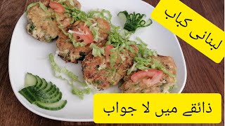 Lebnani kebabDelicious recipe chicken lebnani kebabsuccess full paneeri experiment Shiba cooking [upl. by Staffan962]