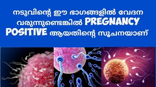 Early Pregnancy Back pain Deechus world Malayalam [upl. by Odanref514]