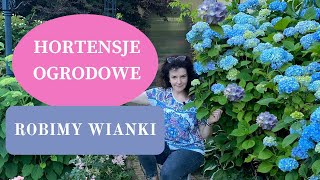 HORTENSJE OGRODOWE we wrześniu  Co robić gdy kwiaty przekwitną  DIY wianek z suszonych hortensji [upl. by Nevart]