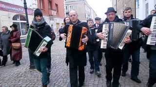 Polka na Farnej w Łomży Świat Akordeonu [upl. by Thurston63]