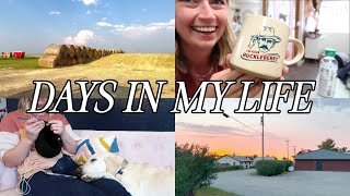 A FEW DAYS IN MY LIFE  a busy work week visiting the ranch a chatty vlog [upl. by Alauqahs]