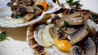 Capesante  in 8 nel microonde  Scallops EasyRecipe SVALENTINO [upl. by Ecydnac]