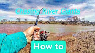 Snagging Paddlefish aka Spoonbill  What You Need To Know  Gear  Rigs  General Info  How To [upl. by Swagerty]