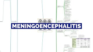 MENINGOENCEPHALITIS [upl. by Campney]