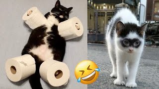 Laugh Out Loud with These Epic Pet Bloopers 🐾😂 [upl. by Fein]