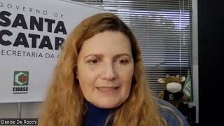 Dia do Médico Veterinário entrevista com Angela Zimmerman [upl. by Odravde]