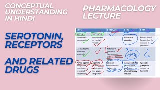 Pharmacology of serotonin receptors and related drugs Pharmacology lectures [upl. by Genny589]