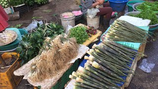 Pakse Laos  Dao Heuang Market 2018 [upl. by Assilem]